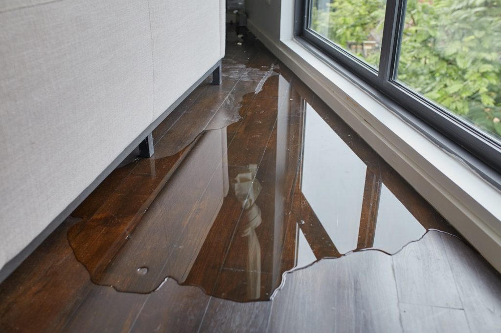 How to Deal with Flood Damage | Shelley Carpets