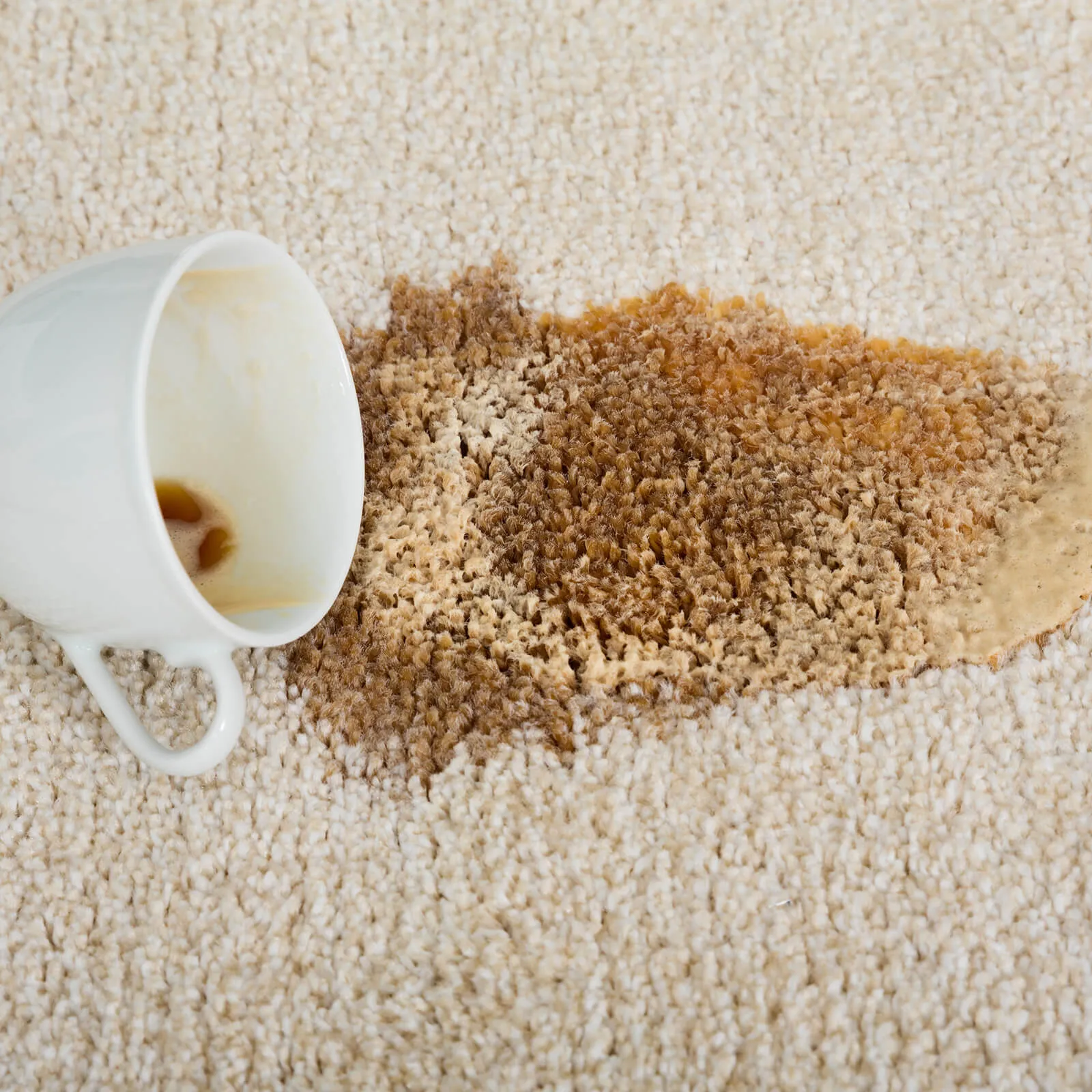 carpetCleaning2_1600x1600 Carpet care | Shelley Carpets
